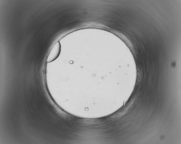 X0000116651391201001251148