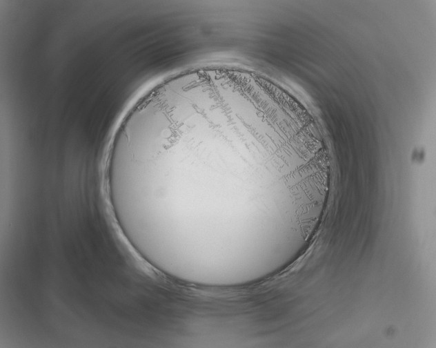 X0000116651392201001251148
