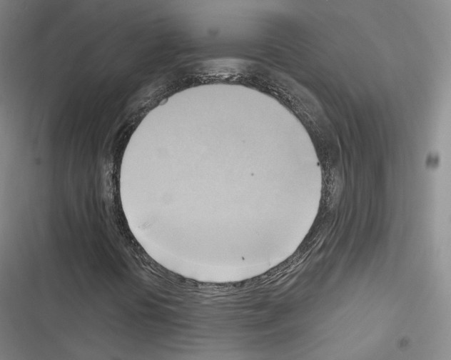X0000116651394201001251147