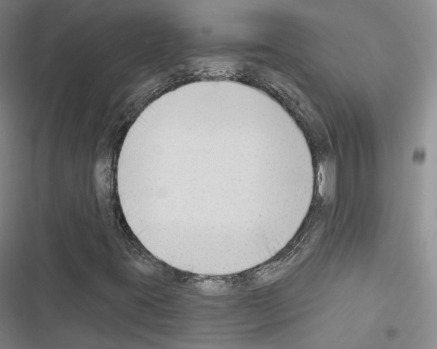 X0000116651395201001251147