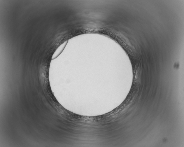X0000116651396201001251147