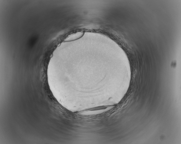 X0000116651398201001251147
