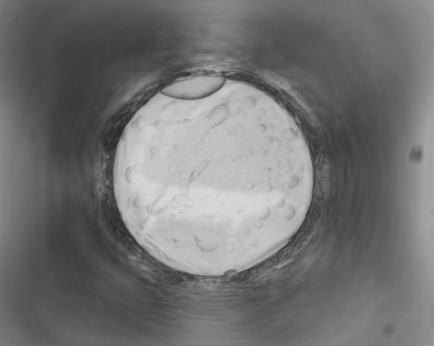 X0000116651399201001251147