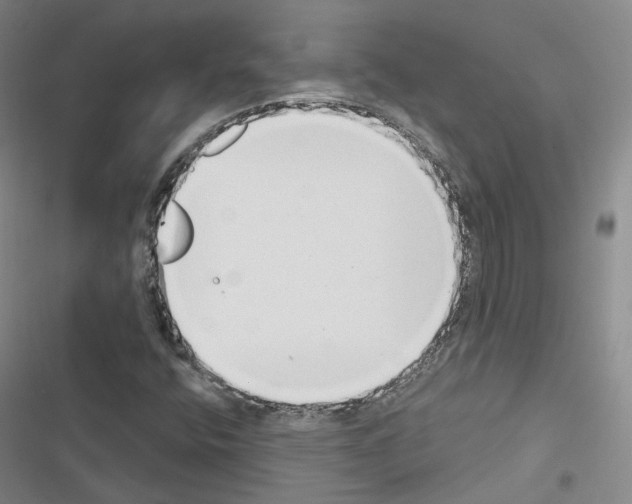 X0000116651400201001251147