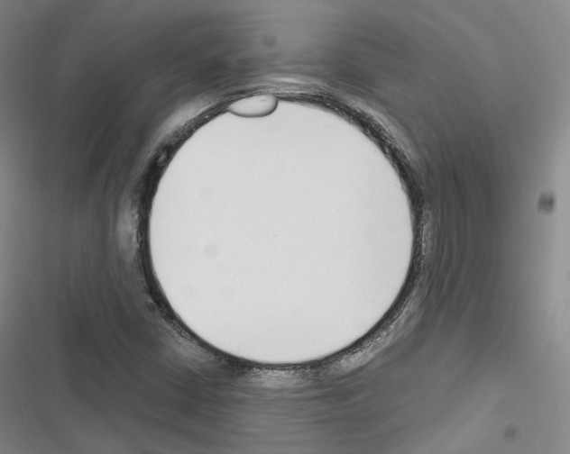X0000116651402201001251147
