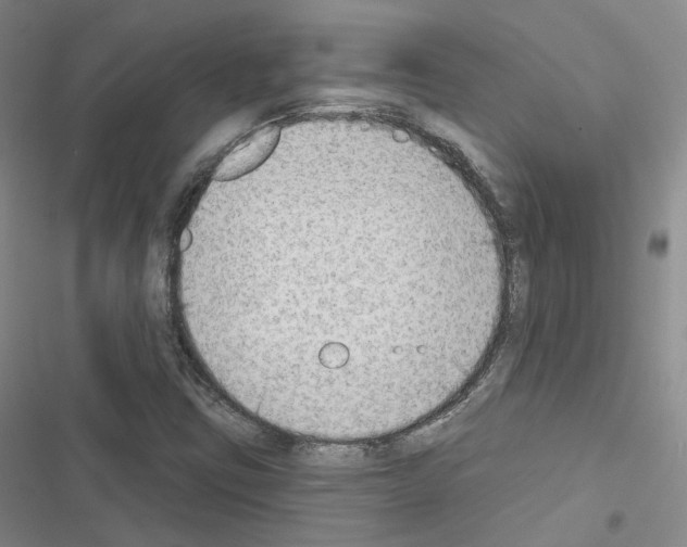 X0000116651403201001251147