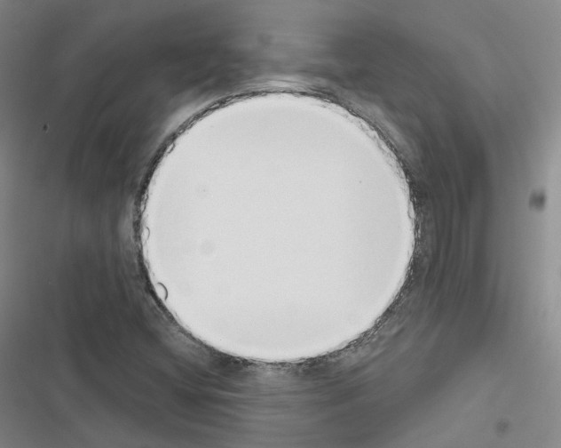 X0000116651404201001251147