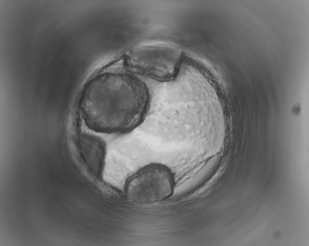 X0000116651405201001251147