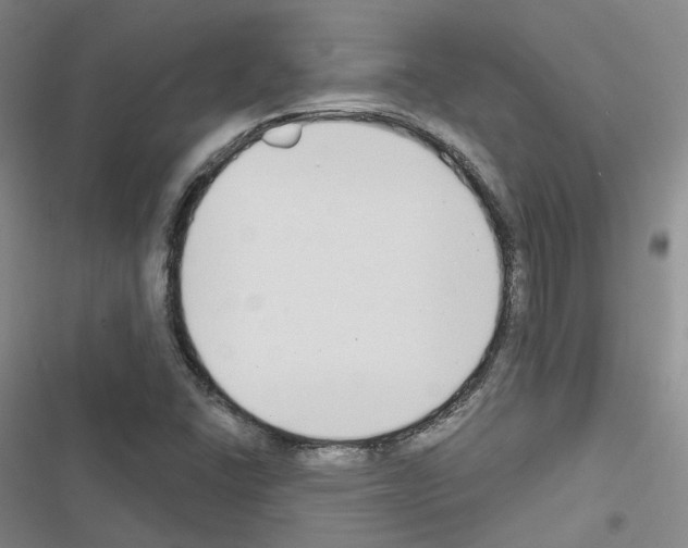 X0000116651406201001251147
