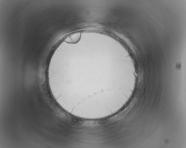 X0000116651407201001251147