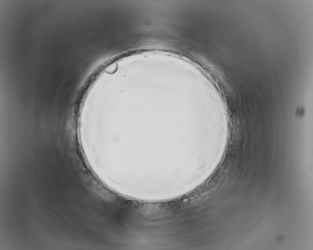X0000116651408201001251147