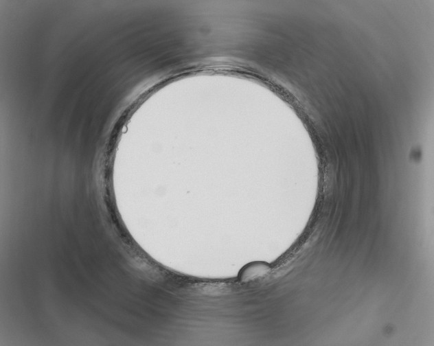 X0000116651410201001251147