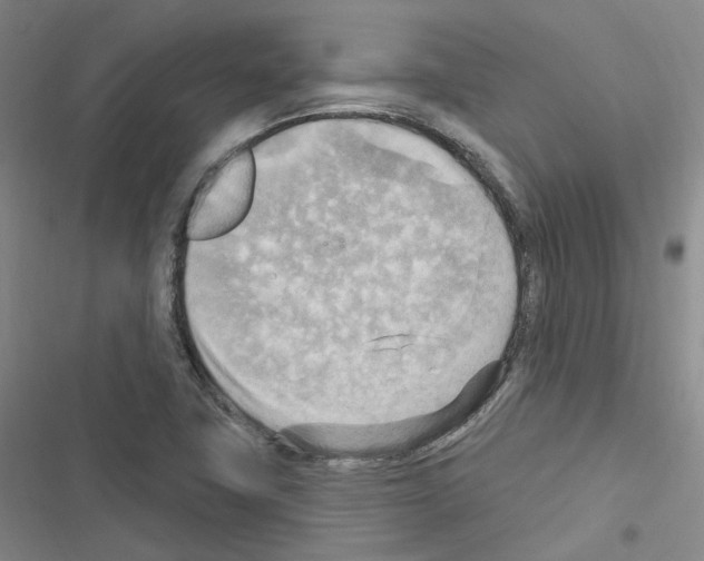 X0000116651411201001251147