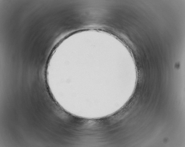 X0000116651412201001251147