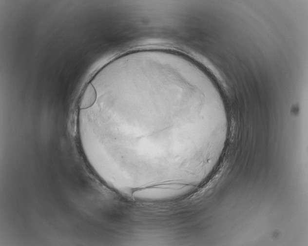 X0000116651413201001251147