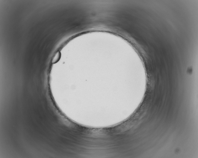 X0000116651416201001251147