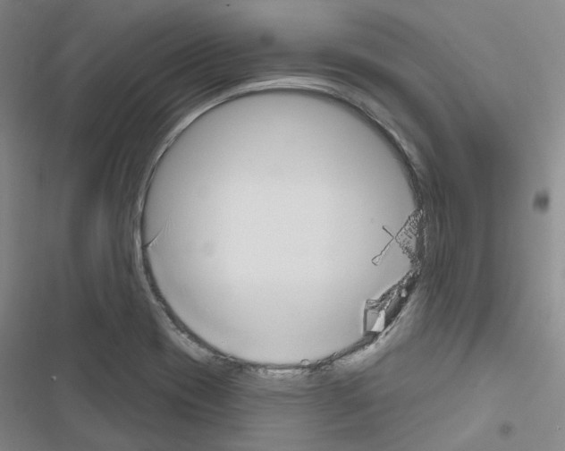 X0000116651417201001251147
