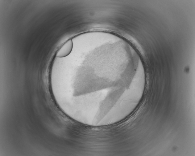 X0000116651419201001251147