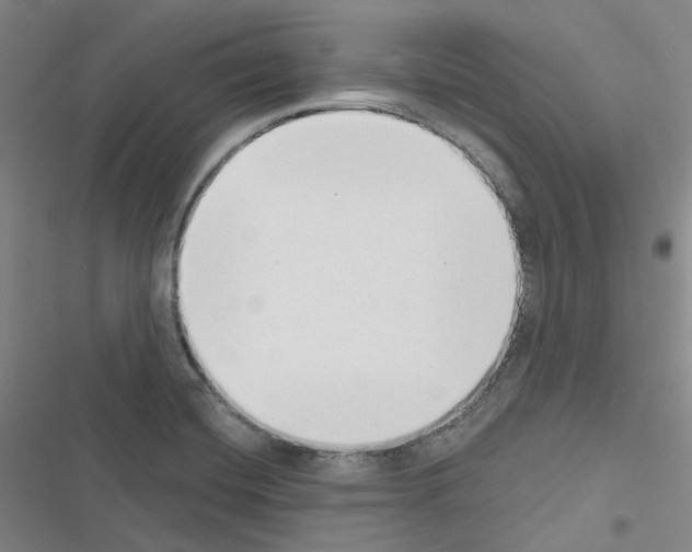 X0000116651420201001251147