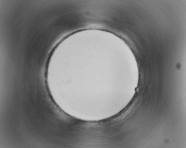 X0000116651422201001251147