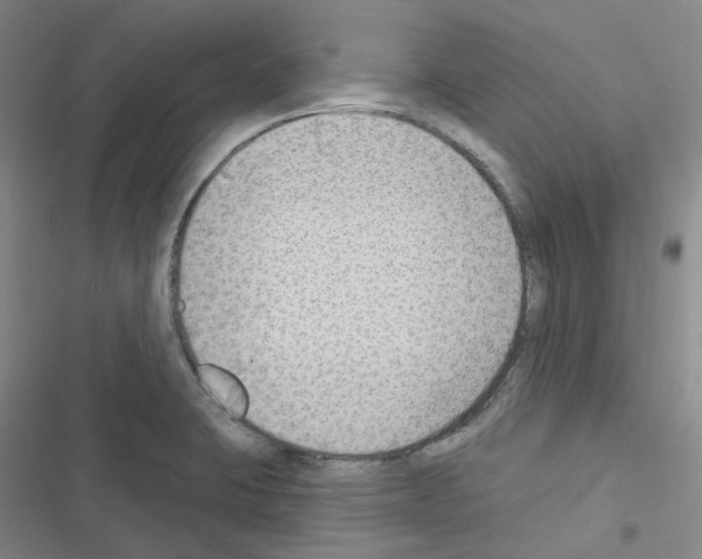 X0000116651423201001251147