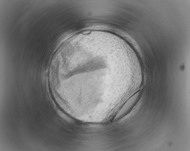 X0000116651425201001251147