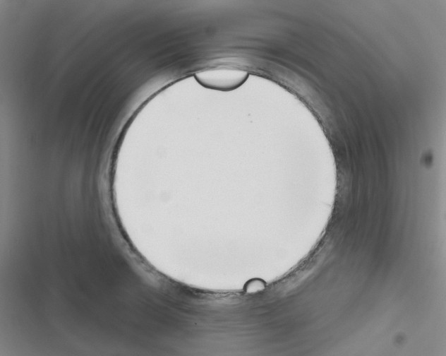 X0000116651426201001251147