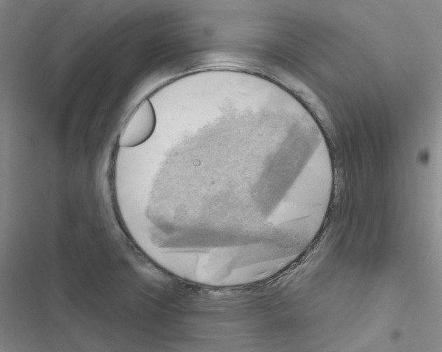 X0000116651427201001251147