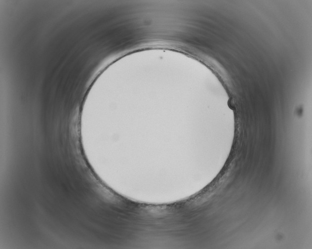 X0000116651428201001251147
