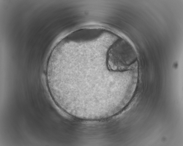 X0000116651429201001251147