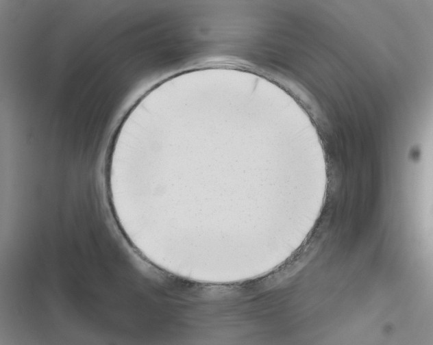 X0000116651430201001251147
