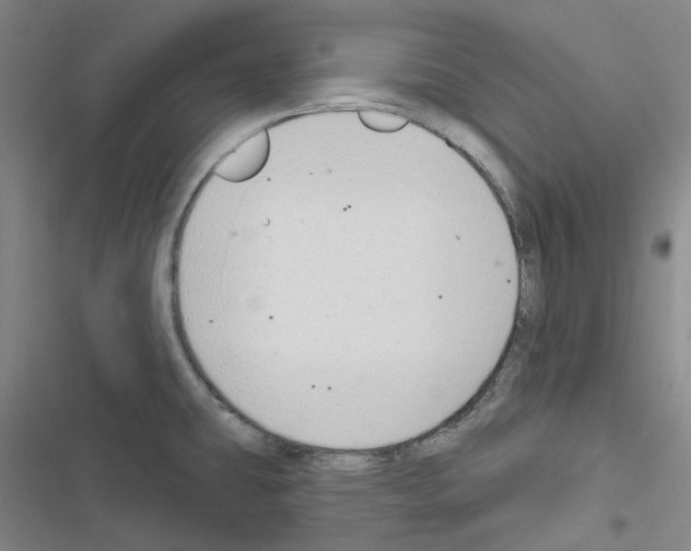 X0000116651431201001251147