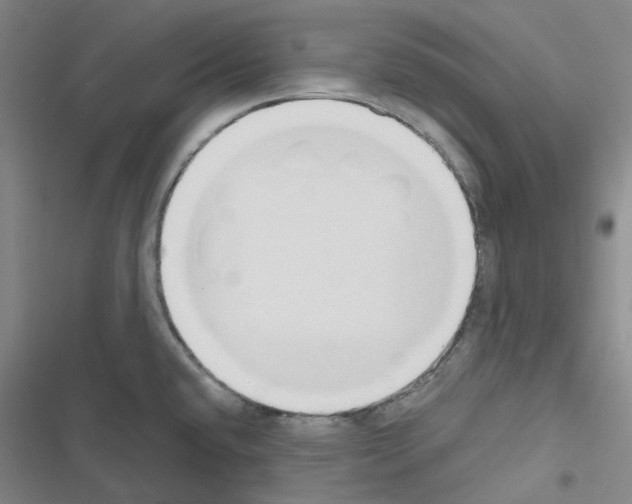 X0000116651432201001251147