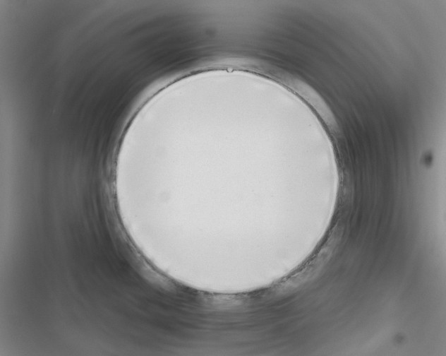 X0000116651436201001251147
