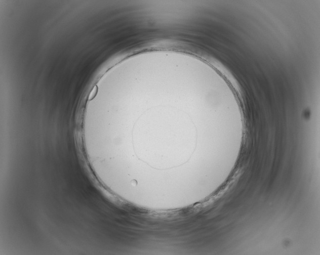 X0000116651437201001251147