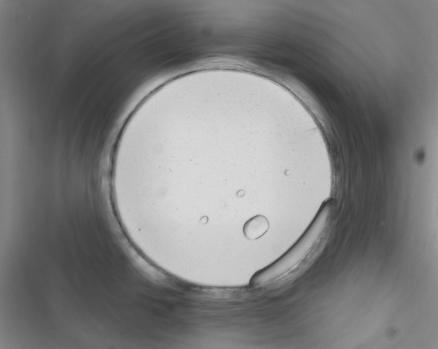 X0000116651438201001251147