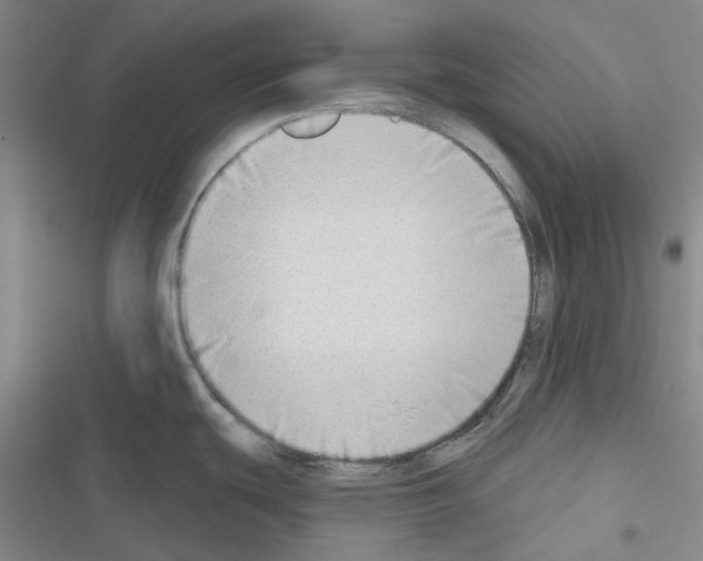 X0000116651439201001251148
