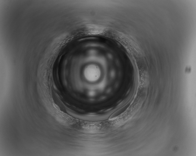 X0000116651441201001251147