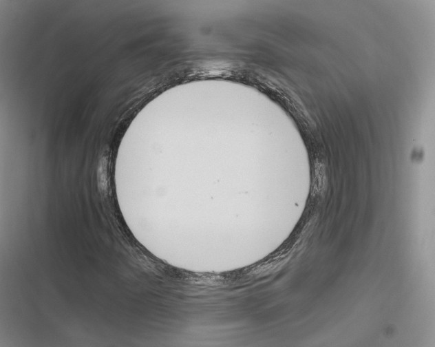 X0000116651442201001251147
