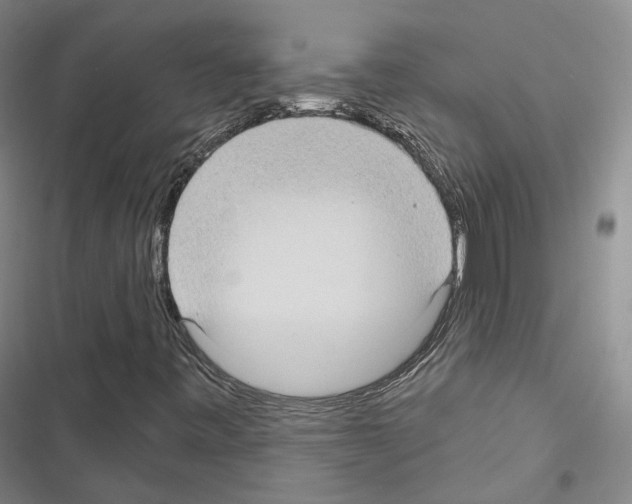 X0000116651443201001251147