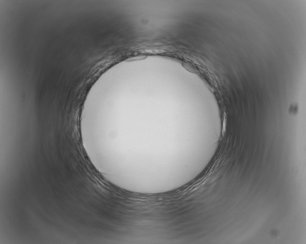 X0000116651444201001251147