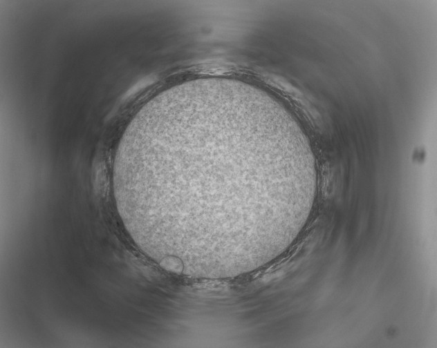 X0000116651446201001251147