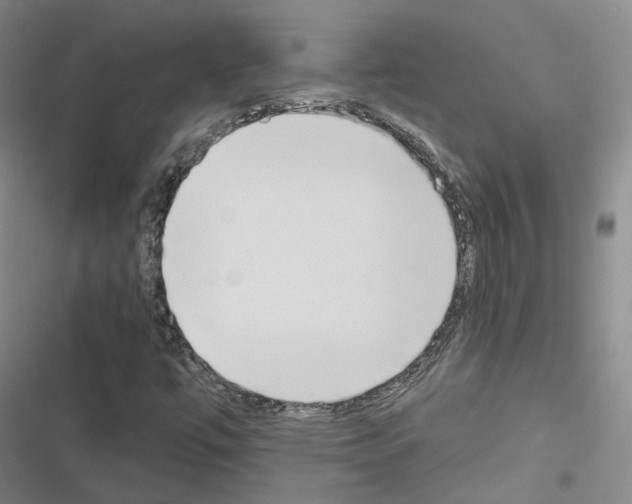 X0000116651447201001251147