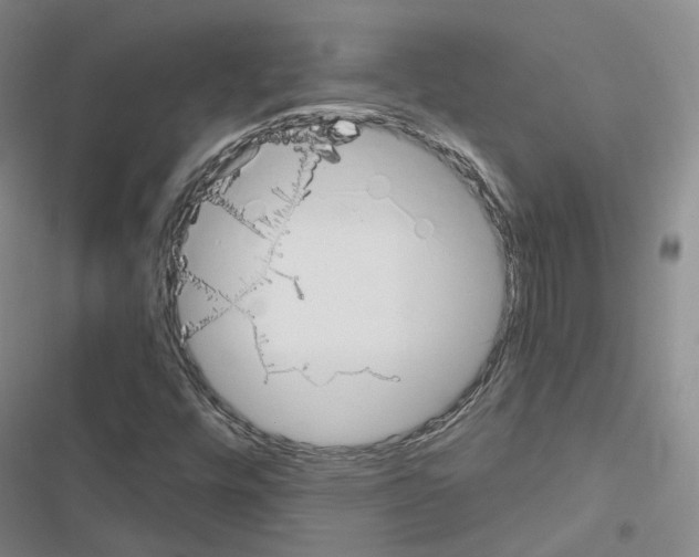 X0000116651448201001251147
