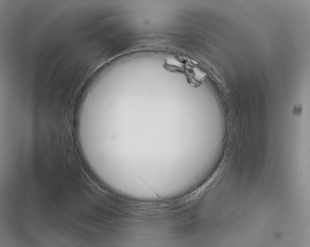 X0000116651449201001251147