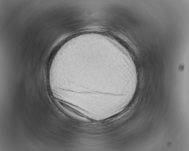 X0000116651450201001251147
