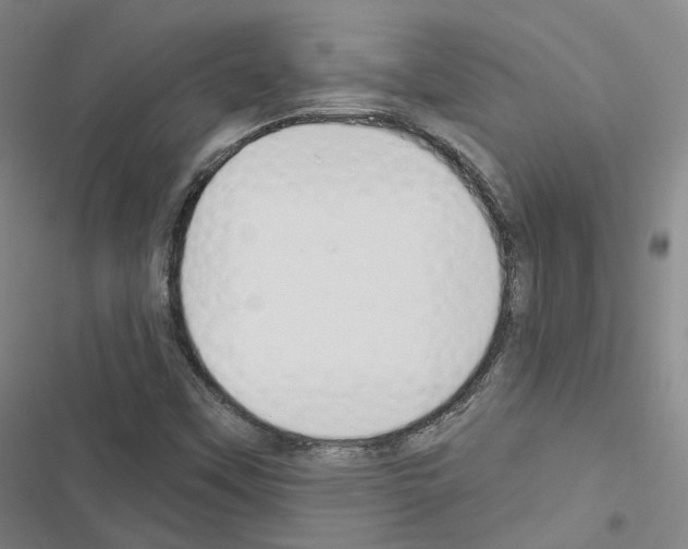 X0000116651451201001251147
