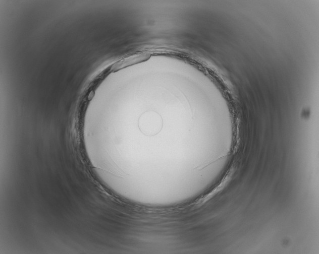 X0000116651453201001251147
