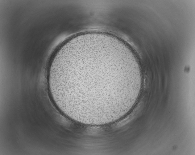 X0000116651454201001251147