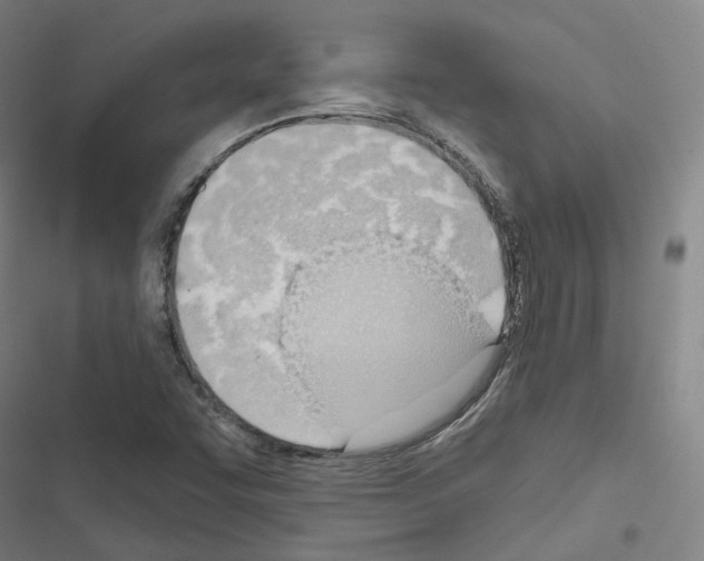 X0000116651455201001251147